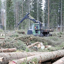 Hakkuut ja puuston kasvun heikkeneminen pienensivät metsän hiilinielua viime vuonna.