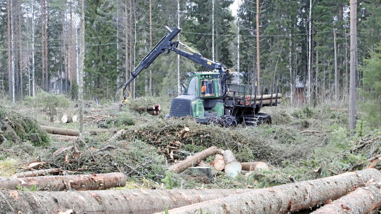 Hakkuut ja puuston kasvun heikkeneminen pienensivät metsän hiilinielua viime vuonna.
