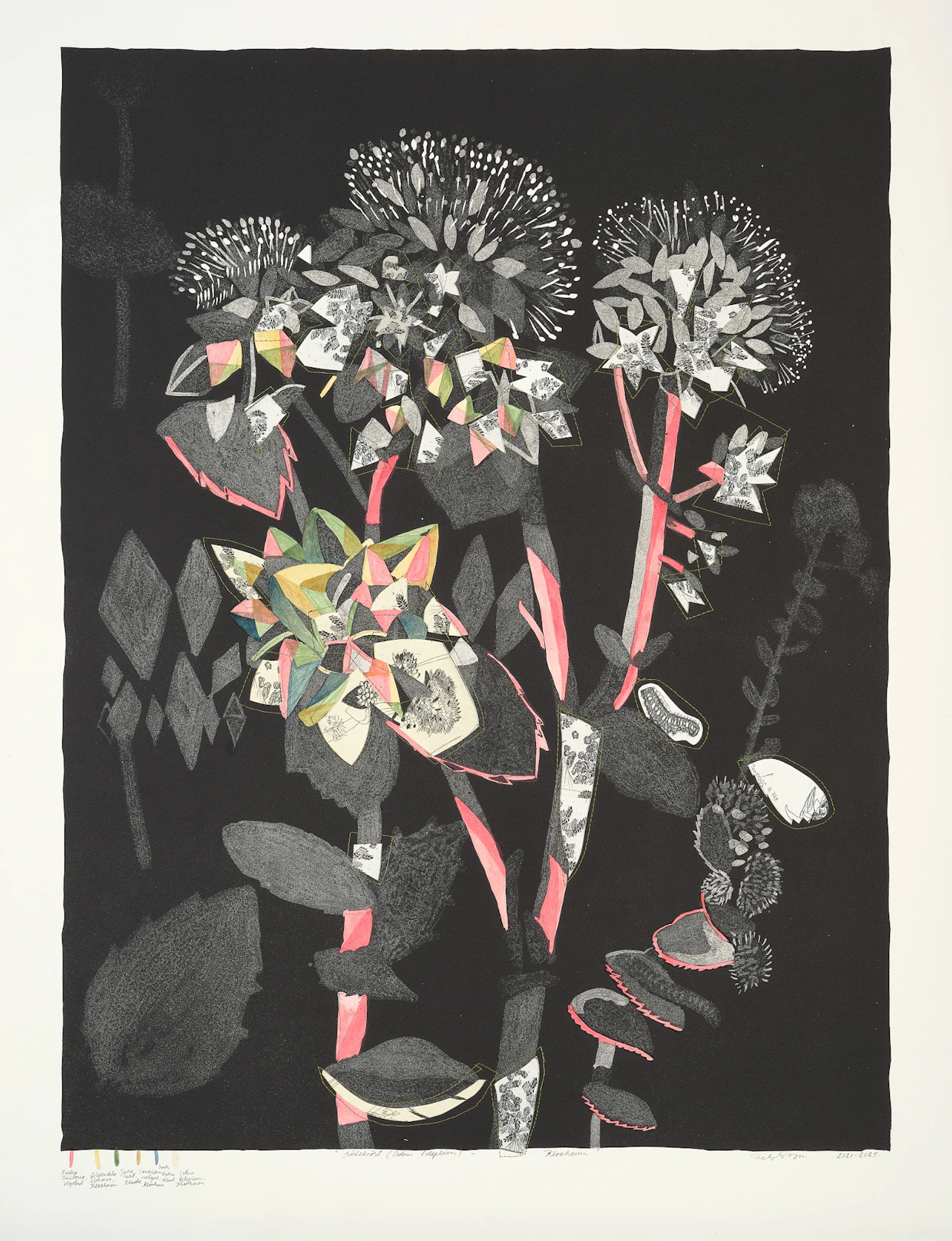 Katja Syrjä: Rakkausyrtti (<em id="emphasis-03cdc30e0a0f220fdd85e93ac46f4295">Sedum Telephium</em>) – Klovharu 2020–2025. Kivipainanta, etsaus, ompelu, luonnolliset maa- ja kasvipigmentit.