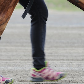 Matkapuhelinsovelluksella voidaan tutkimuksen mukaan tunnistaa ravaavan hevosen ontuma. Kuvituskuvasta poiketen hevosen pitäisi ravata mobiilikameraa kohti.