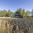 Maatalouden taloudellinen kehitys on ollut Suomessa jo pitkään heikkoa. Viime vuosina kustannuskriisit ja geopoliittiset shokit ovat korostaneet ongelmia. Kuvituskuva.