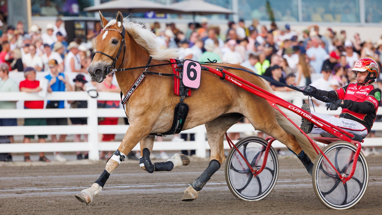 Supertamma Suven Sametti aloittaa yhdeksännen kilpailukautensa.