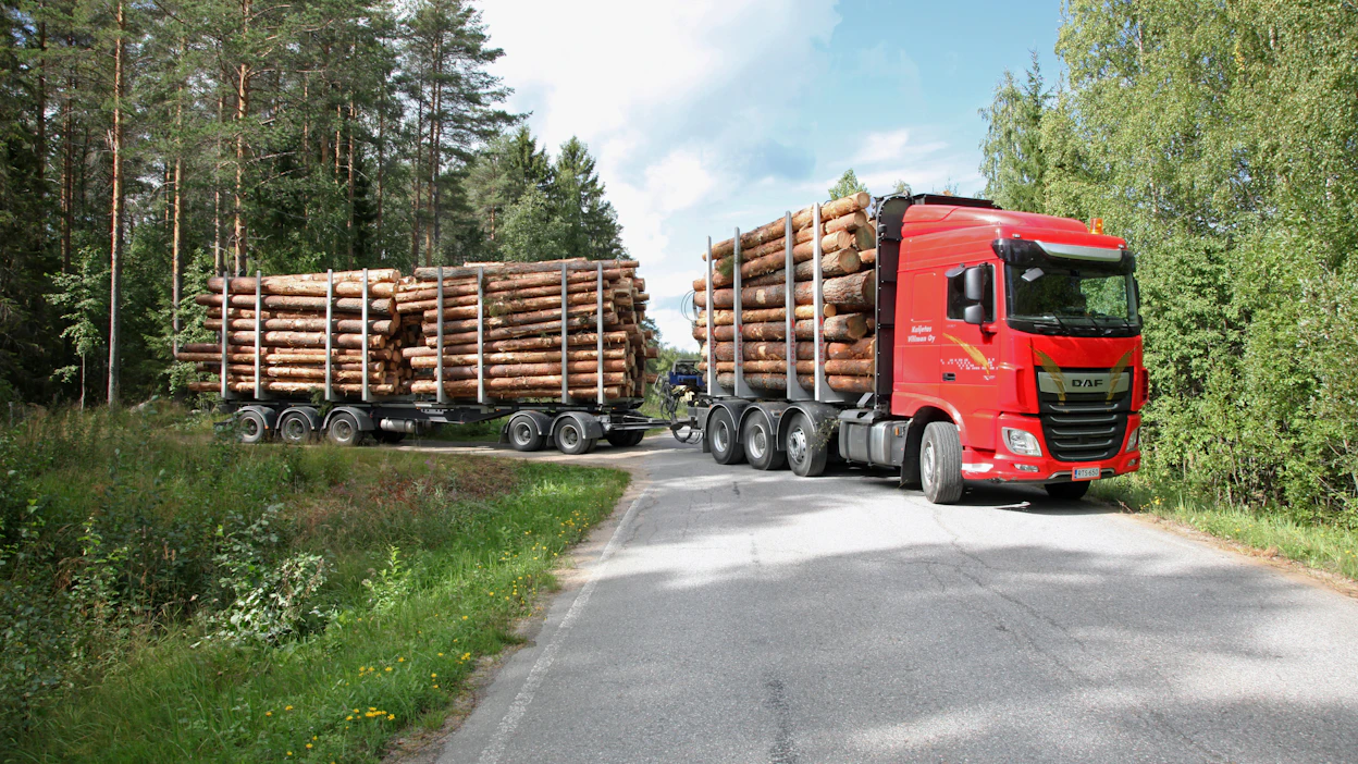 Metsätalouden osuus Suomen viennistä on vajaa viidennes.