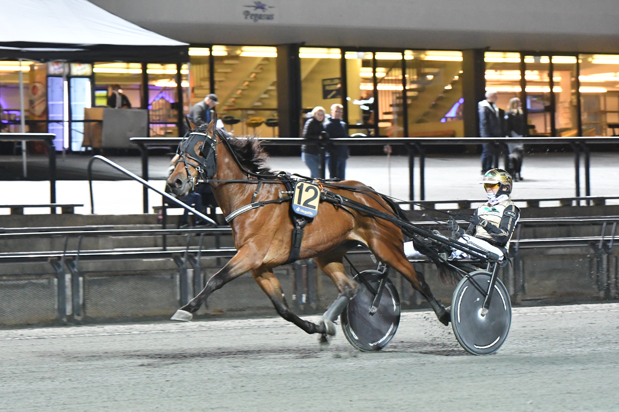 13,8-aikainen Yankee Nova S juoksee kuvassa Martine E. Sørvikin ajamana Bjerkessä syyskuussa.