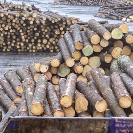 Puukauppa on käynyt vuoden ensimmäisillä viikoilla pääosin nousevilla hinnoilla.