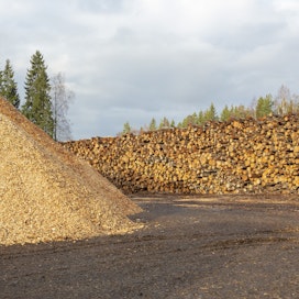Metsäteollisuuden mukaan energiakriisi kasvattaa riskiä jalostuskelpoisen ainespuun ohjautumista suoraan energiantuotantoon.
