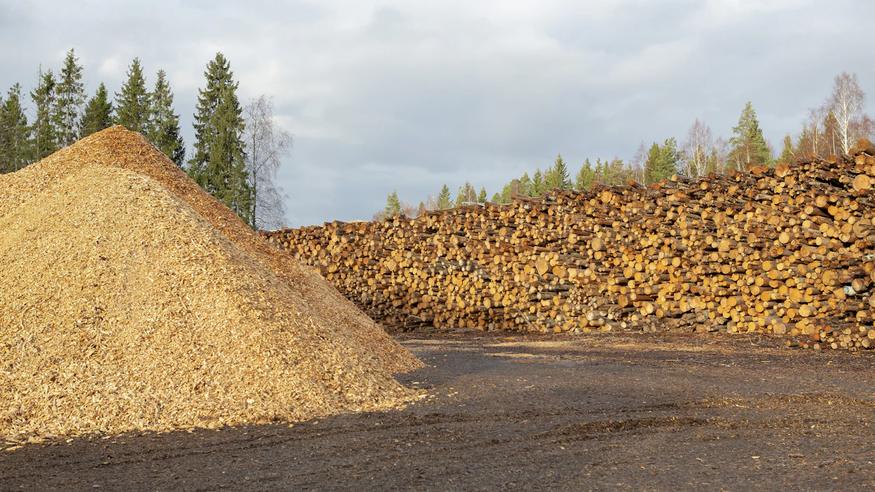 Metsäteollisuuden mukaan energiakriisi kasvattaa riskiä jalostuskelpoisen ainespuun ohjautumista suoraan energiantuotantoon.