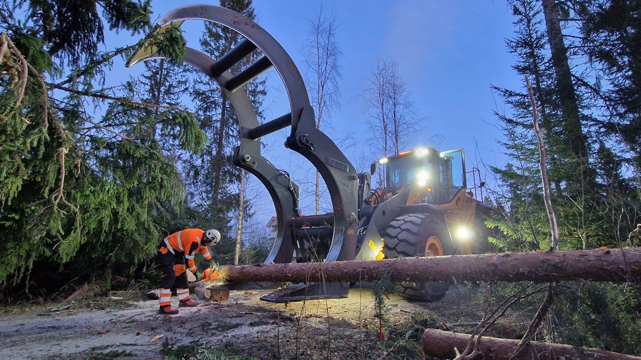Hannes-myrsky kaatoi viikonloppuna isoja puita Kalajoella.