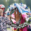 Suven Sametti ei tänä vuonna taistele kuningattaren seppeleestä.