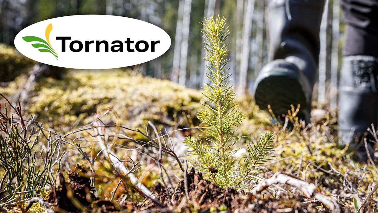 Tornator tavoittelee miljoonan hehtaarin metsäomaisuutta vuoteen 2035 mennessä.