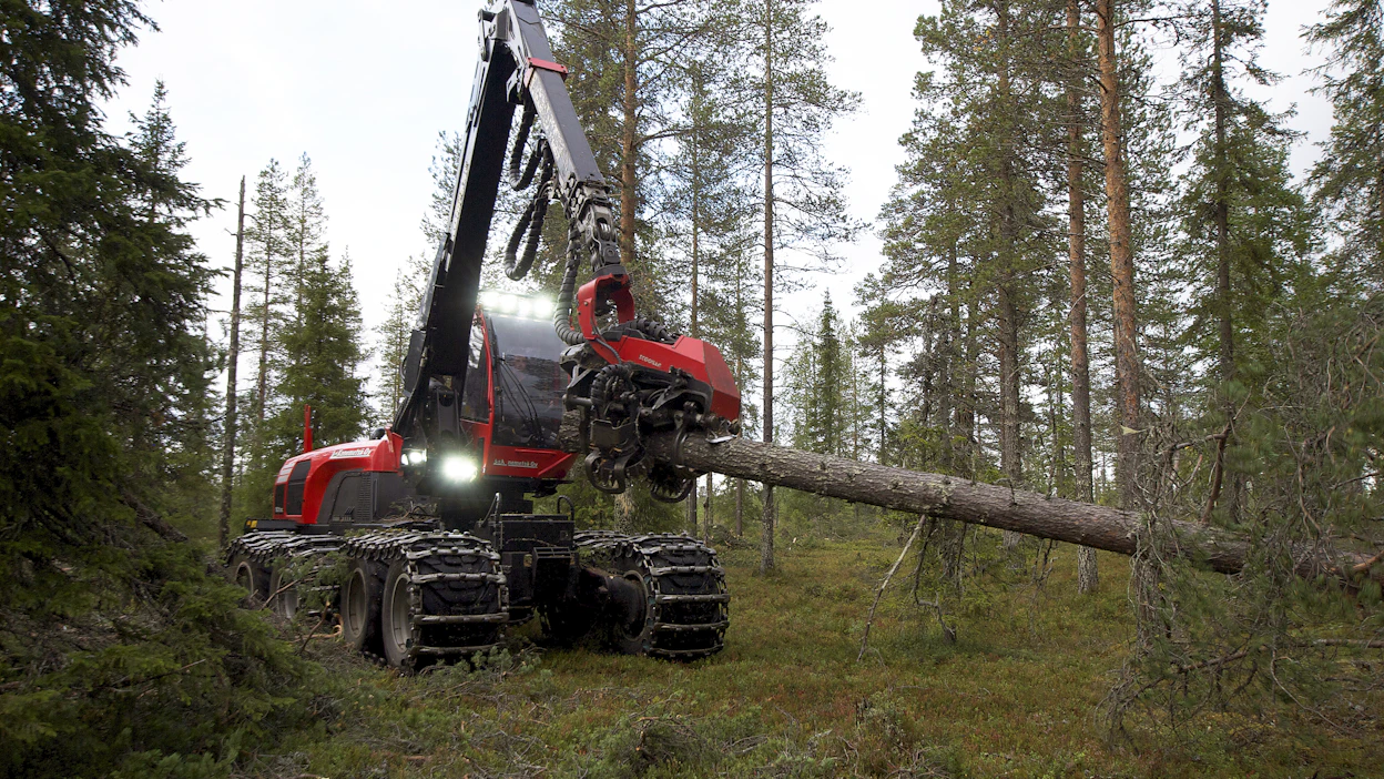 Metsänhoitomenetelmiä verrattaessa lähtökohtien täytyy olla yhdenvertaiset, kirjoittaja korostaa. Kuvituskuva.