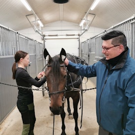Anni Putkosesta on suuri apu Mika Lappalaisen kuuden hevosen valmennustallin pyörittämisessä. Anni valjastaa tallin uusinta tulokasta Heide K:ta.