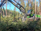 Teollisuus on hakannut metsistä alkuvuonna enemmän puuta kuin se on ostanut.
