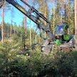 Teollisuus on hakannut metsistä alkuvuonna enemmän puuta kuin se on ostanut.