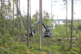 Etelä-Suomen metsät ovat olleet viime vuosina täyskäytössä.