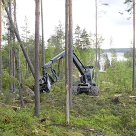 Etelä-Suomen metsät ovat olleet viime vuosina täyskäytössä.