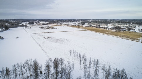Siirtoverkon mahdollisen rakentamisen jälkeen peltoalueet säilyisivät viljelyskelpoisina. Kuvituskuva.