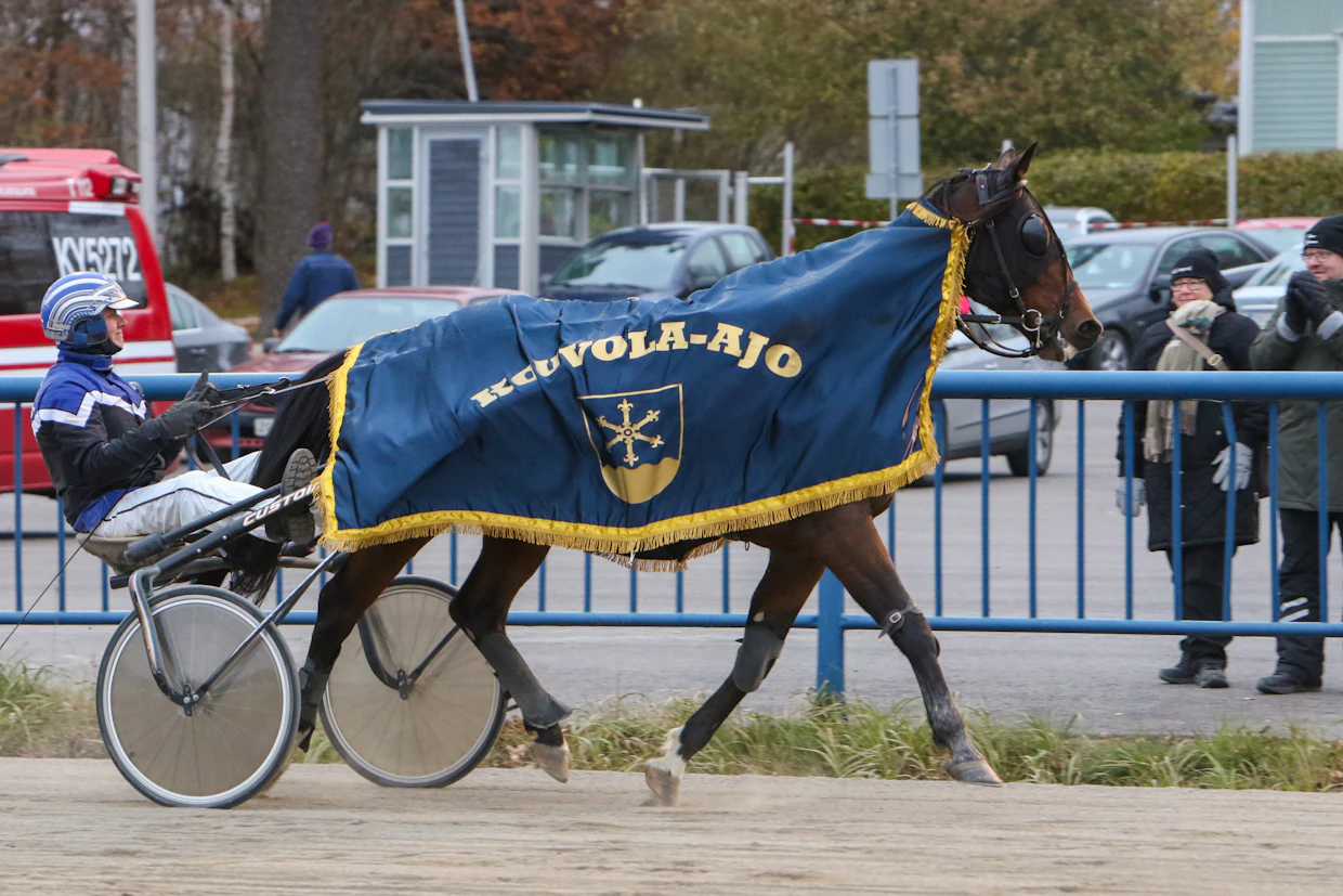 Okko Mikkonen menestyi muutama vuosi sitten hienosti Take The A.Trainin kanssa. Kuvassa Ville Tonttilan ohjastama ruuna Kouvola-ajon voiton jälkeen lokakuussa 2023.