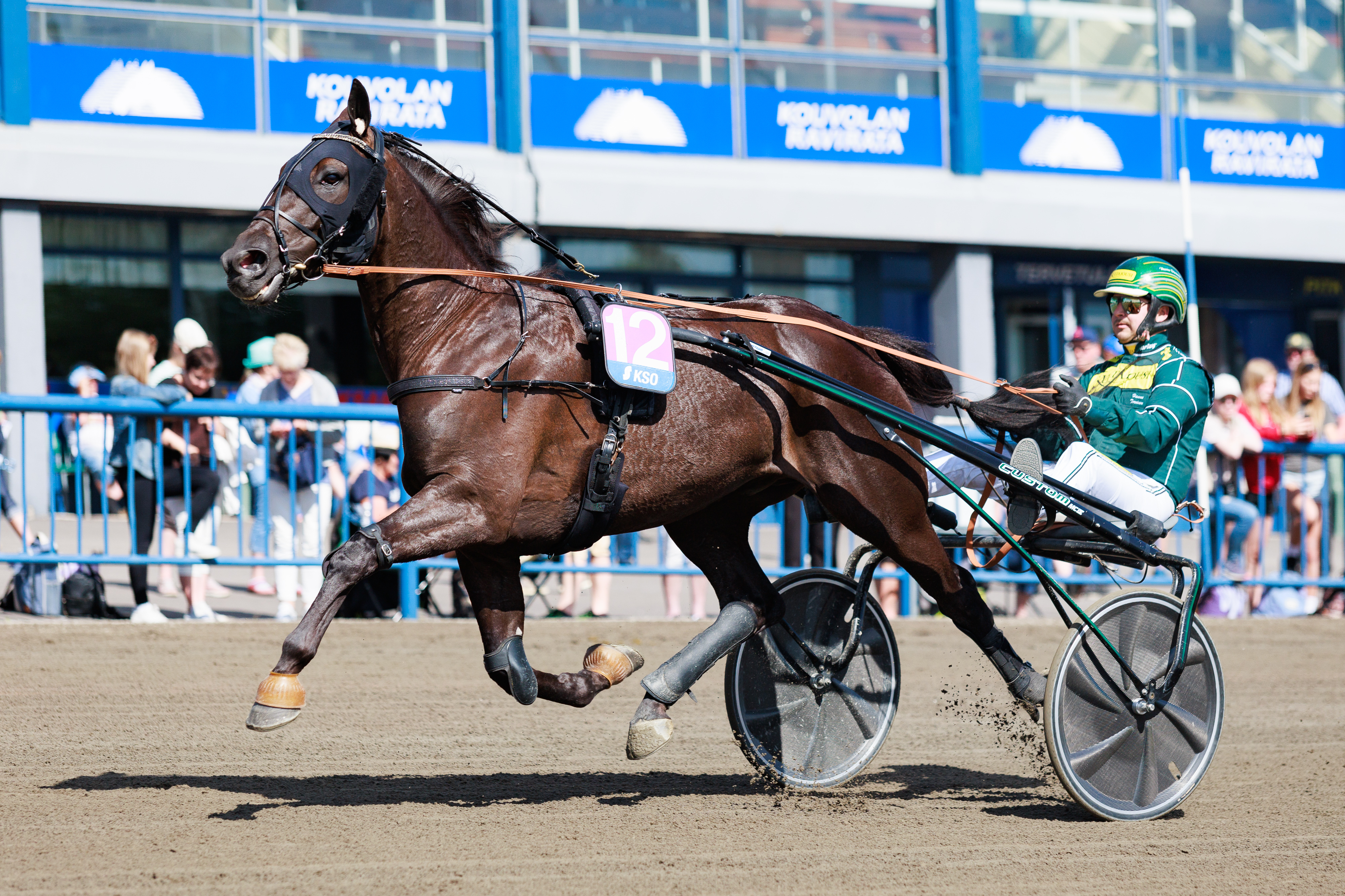 Madrero on ravannut 35 startissaan jo yli 60 000 euron tienestit.