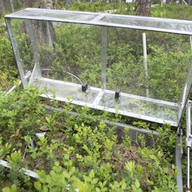 Helsingin yliopiston Hyytiälän metsäasemalla toimii Smear II -asema, jolla mitataan ekosysteemien ja ilmakehän välisiä yhteyksiä. 