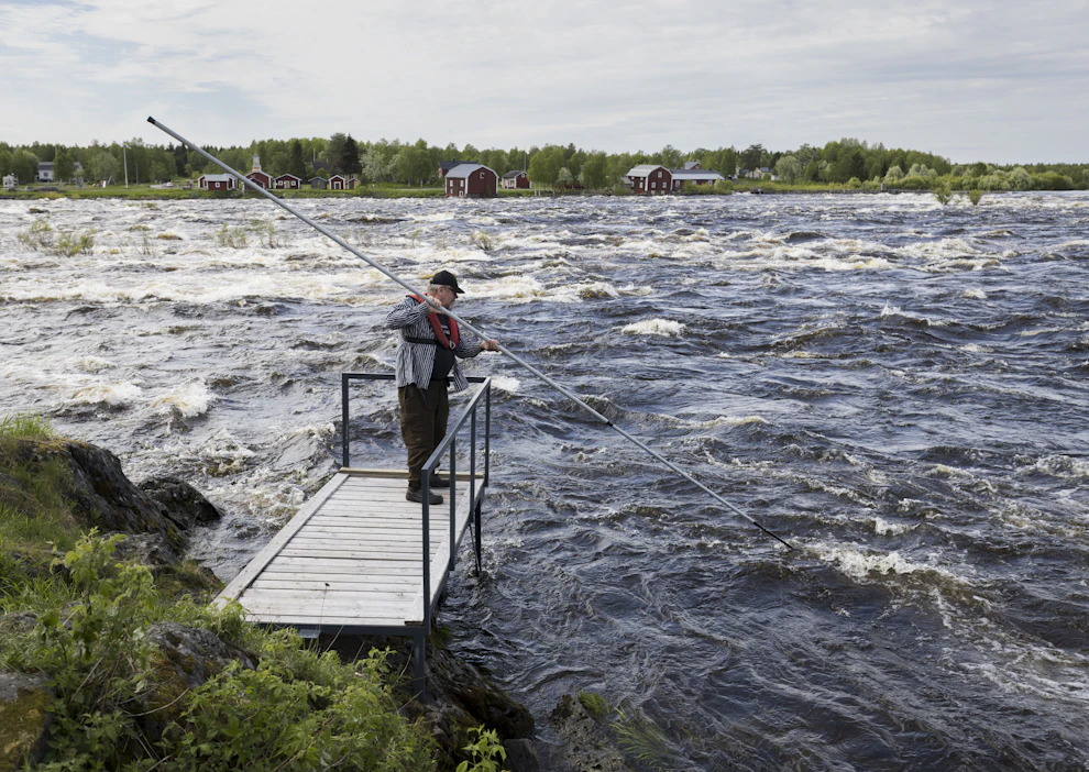 Kukkolankosken koski-isäntä Risto Leinonen lippoaa Kallionnokaksi nimetyltä paikalta keskiviikkona 8. kesäkuuta. Kukkolankoskella on harjoitettu lohen ja vaellussiian lippokalastusta satojen vuosien ajan.