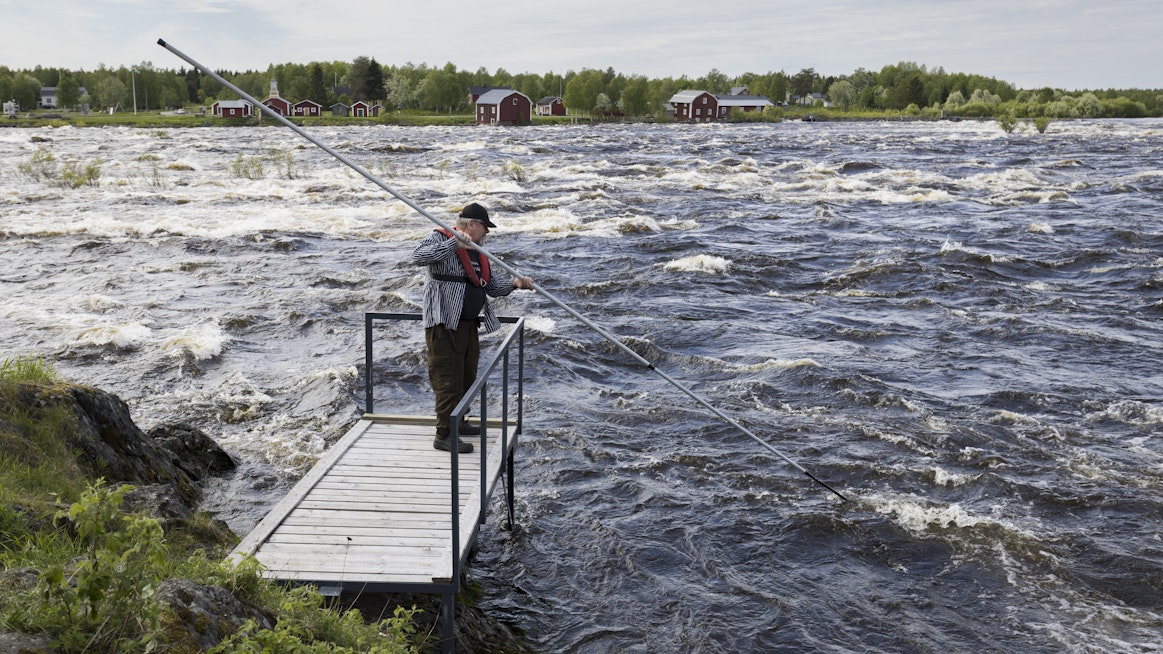 Kukkolankosken koski-isäntä Risto Leinonen lippoaa Kallionnokaksi nimetyltä paikalta keskiviikkona 8. kesäkuuta. Kukkolankoskella on harjoitettu lohen ja vaellussiian lippokalastusta satojen vuosien ajan.