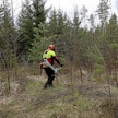 Stihlin uusi akkuraivaussaha FSA 400 K tarjoaa kovan vastuksen polttomoottorisahoille. Jo alimmalla tehoalueella raivaustyö sujuu perkauksessa ja taimikonhoidossa.