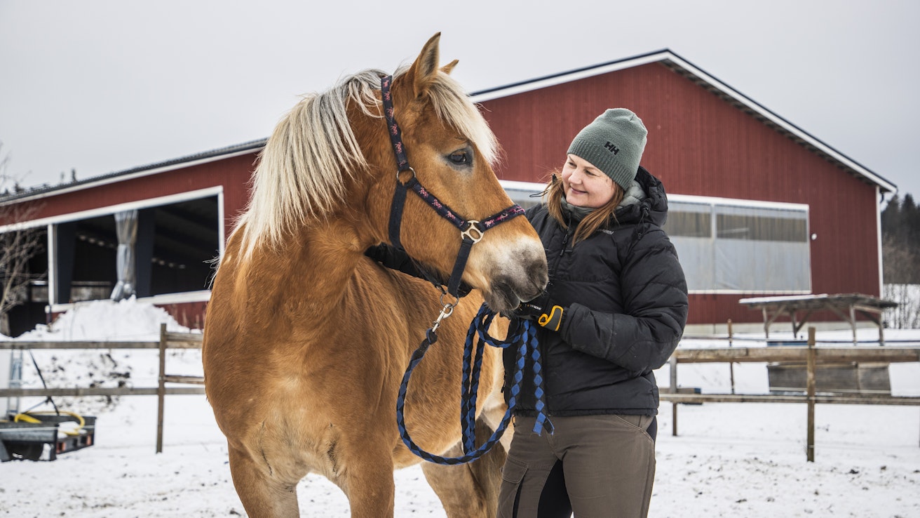 ”Hevonen on ollut minulle tärkein lapsesta asti ja halusin työelämää rakentaa hevosen kanssa. Olen tehnyt tiivistetyn työuran seitsemänpäiväisine viikkoineen ja tavoitteeni onkin olla osa-aikaeläkkeellä viiden vuoden päästä”, Heidi Mäkinen sanoo suomenhevostaan Keijoa rapsutellen.