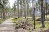 Rokuan kansallispuisto on perustettu vuonna 1956.