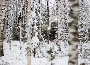 Koivukuitupuusta maksettiin viime viikolla keskimäärin noin 25 euroa kuutiolta.