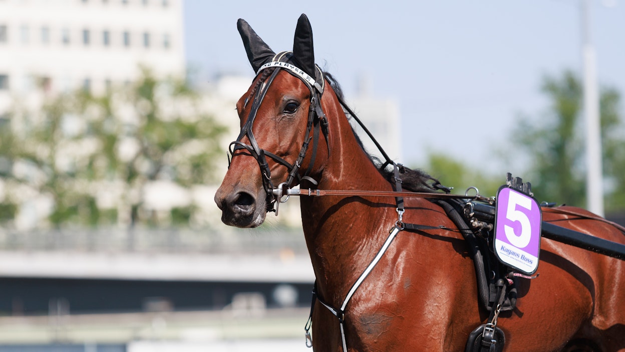 Amazing Player juoksi kauden neljännen voittonsa. Arkistokuva.