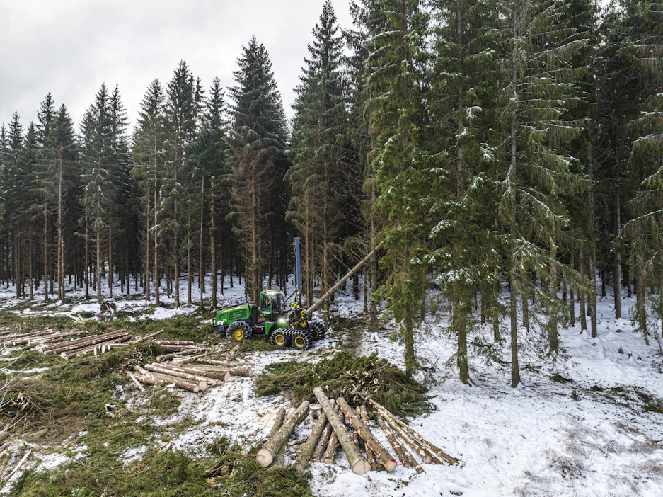 Puutavaralajeista eniten on noussut koivukuitupuun hinta, jonka keskikantohinta oli viime viikolla 28 prosenttia korkeampi kuin vuoden alussa. Tukkien hinnat ovat kohonneet 11–12 prosenttia.