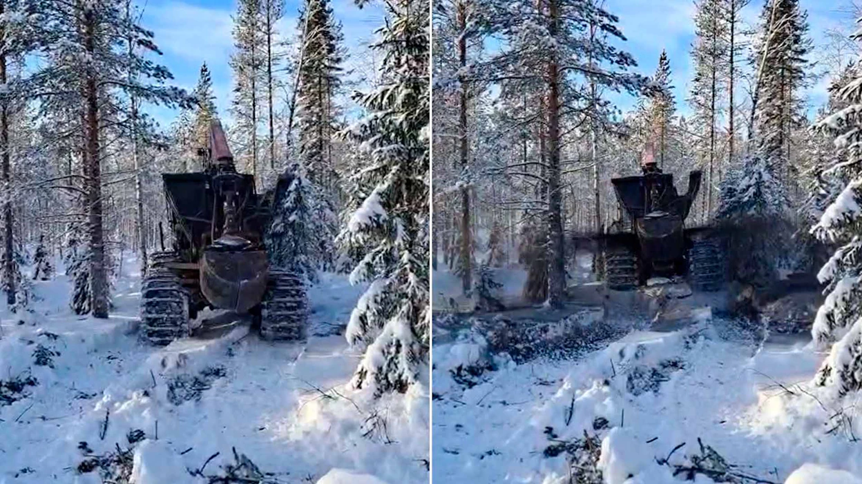 Tuhkalannoitus alkaa ranualaisessa turvepohjaisessa metsässä.