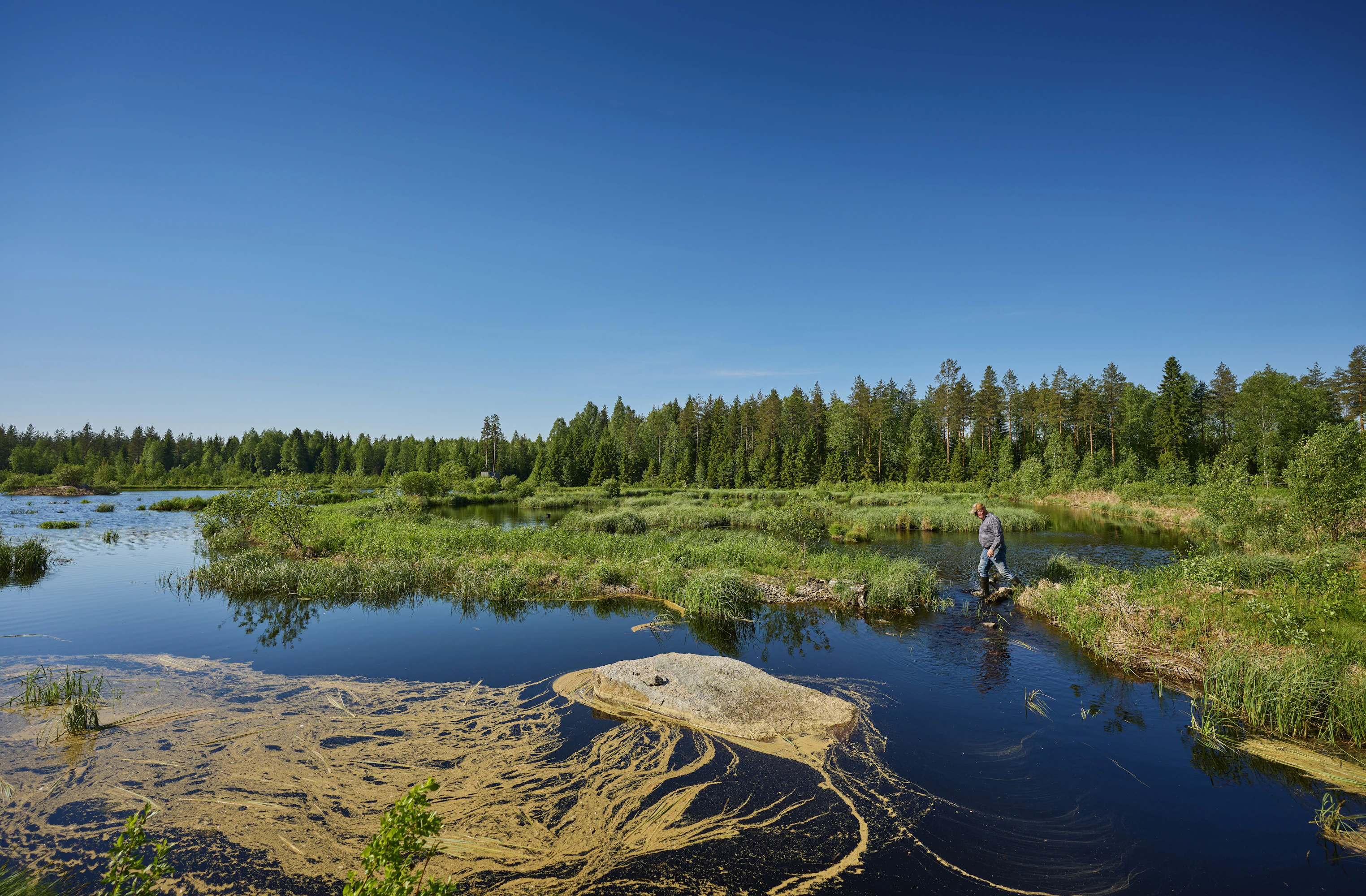 Kosteikon perustaminen metsään oli valtava urakka, mutta Ari Kumpulainen on tyytyväinen lopputulokseen.