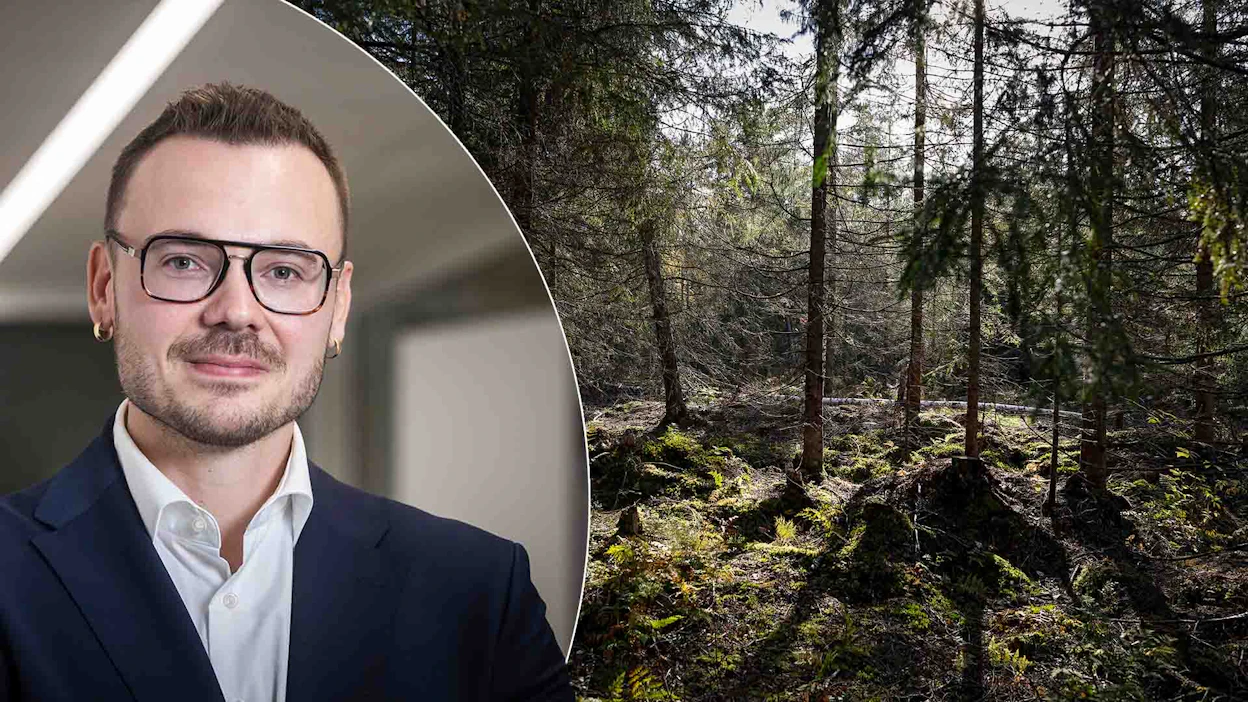 Tino Aalto määrittelee Suomen ennallistamisesityksen melkoiseksi sekasotkuksi.