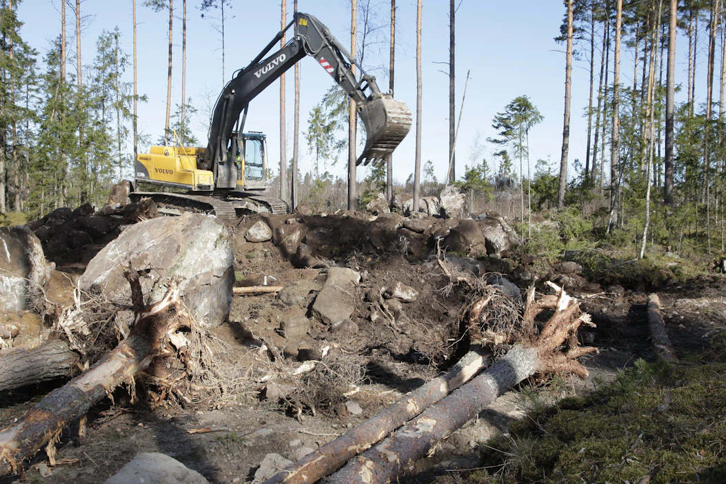 Selvyyttä metsäkatoasetuksen vaikutuksista navettarakentamiseen tuskin saadaan lähiakoina.