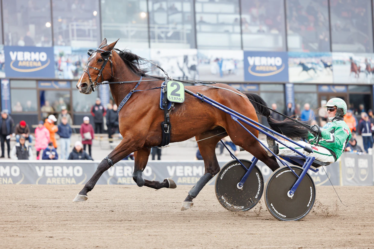 Myös Stonecapes Victor palasi hiljattain loukkaantumistauolta.