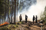 Ennallistamispoltot ovat tehokas keino palauttaa metsiin monipuolista elämää.