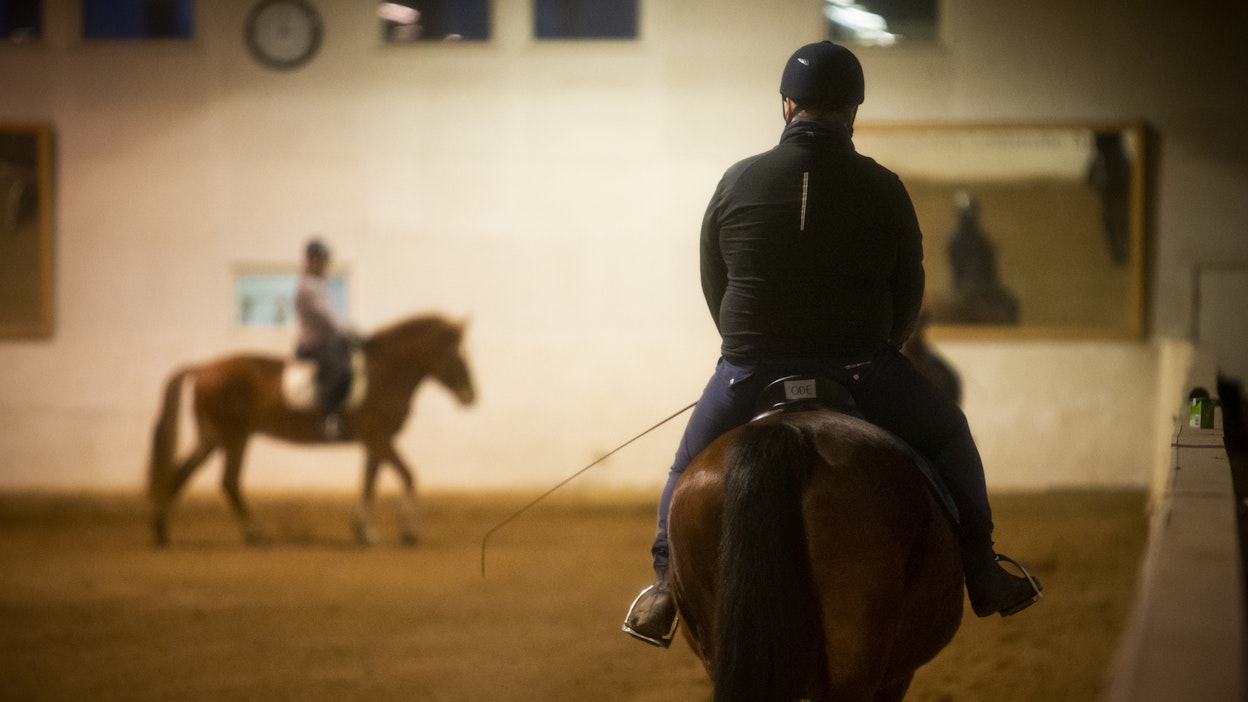 Ruotsalaistutkimus paljasti, että ratsastuskouluoppilaat haluavat oppia monipuolisesti hevosesta. Kuvituskuva.