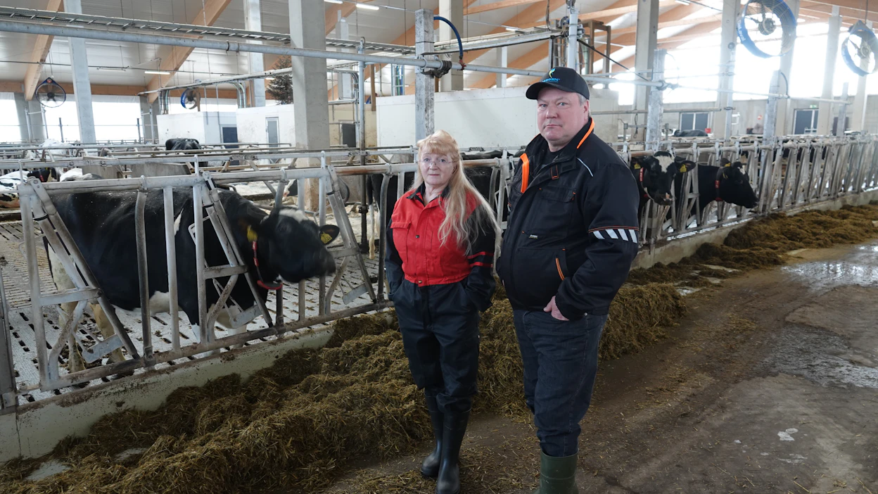 Uusia tutkimustuloksia ja alan kokemuksia on seurattava ja tarvittaessa muutettava toimintatapoja, Maija-Liisa ja Ari Kanniala muistuttavat ja lisäävät, että poikimisajankohdan ruokinta on oltava täsmälleen oikea ja lehmän kunto erinomainen, jotta tuotantokauden aikana ei turhaan tulisi ongelmia.