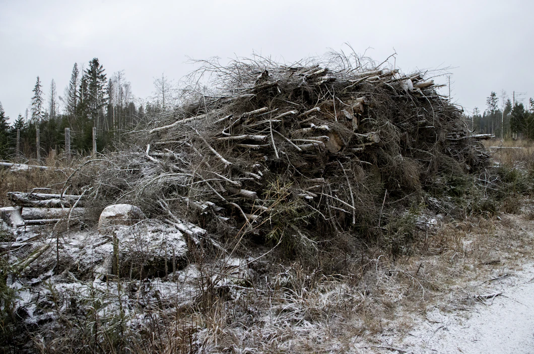 Energiapuuta kertyy kaikkien hakkuiden yhteydessä.