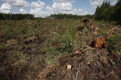Pellonraivauskieltoa vastustetaan tasaisesti eri puolilla Suomea.