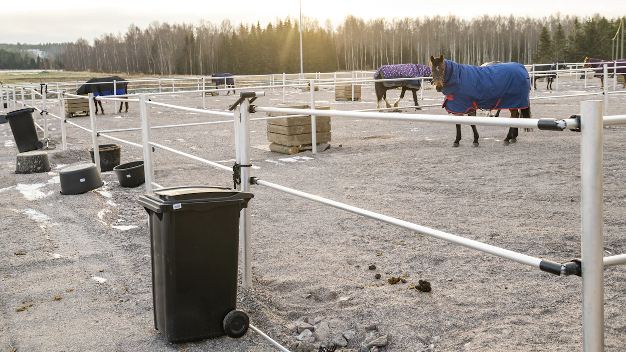 Hyvinvoinnin tarkkailun työkalu luotiin 2,5 vuotta kestäneessä Mittarit hevosen hyvinvoinnin arviointiin -hankkeessa. Kuvituskuva.
