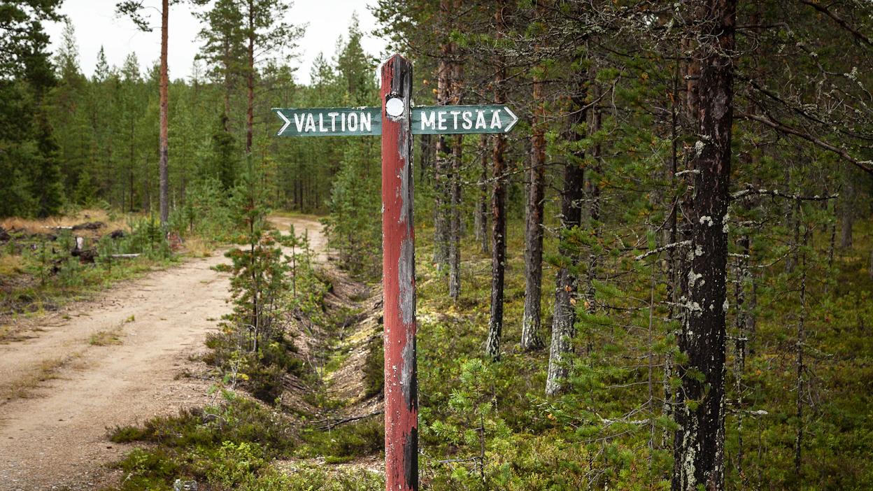 Valtion metsien suojelu on tehokasta, mutta niistä ei ole juuri apua Etelä-Suomessa.
