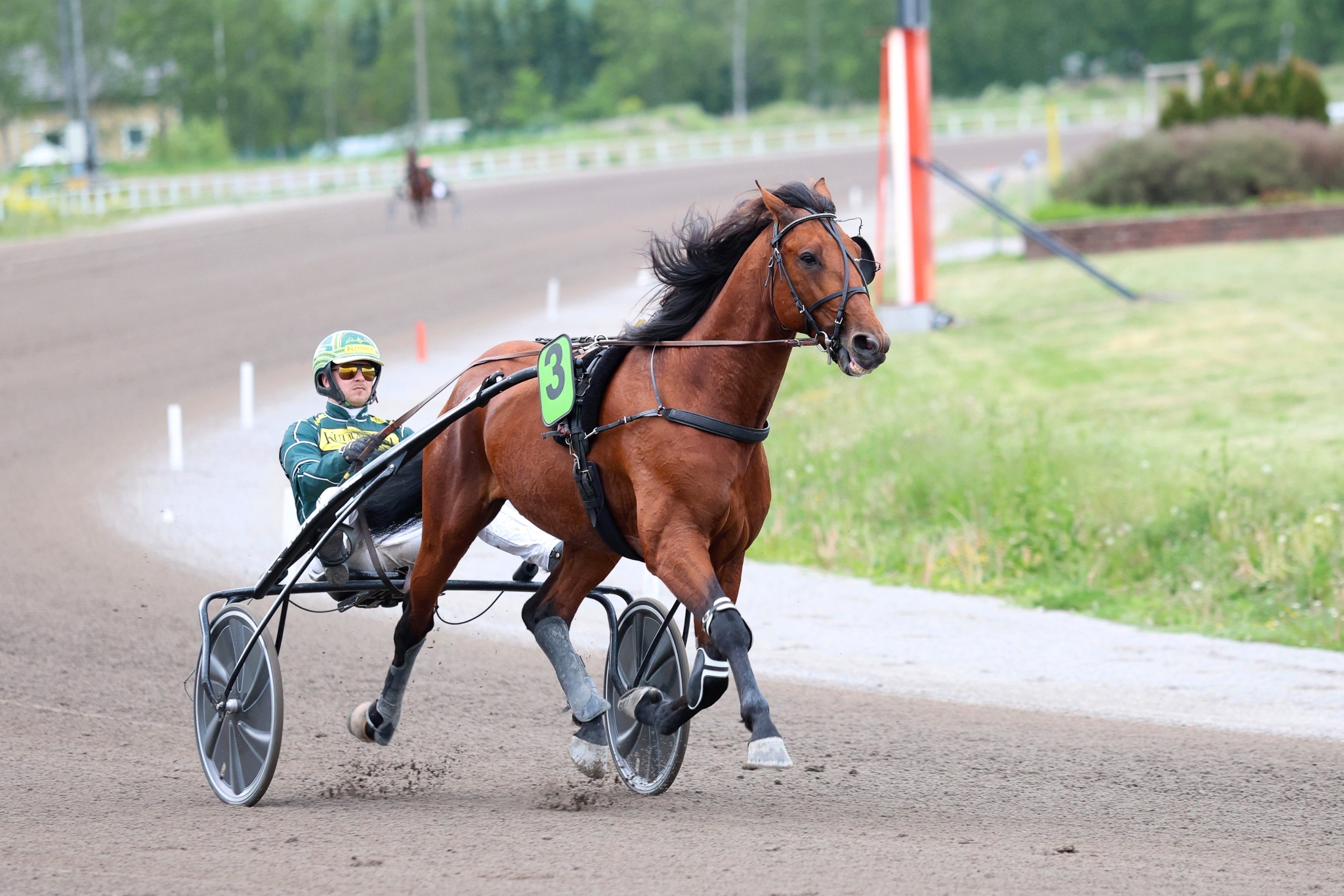 Uranus Orden on keskiviikon luottohevonen.