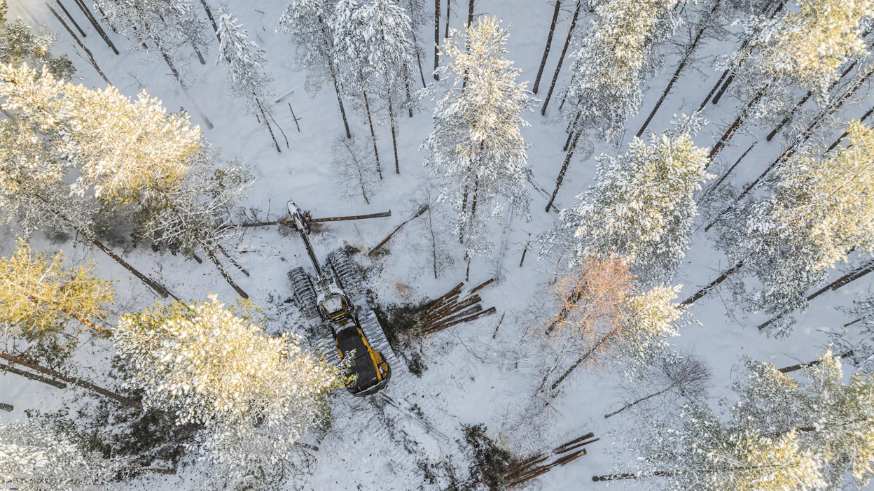Kansanedustajilla oli myös yhteisiä näkemyksiä metsätaloudesta: Haluttiin kannattavaa puunkasvatusta, luonnon monimuotoisuuden suojelua ja hiilensidontaa.