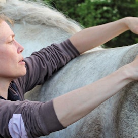 Kultainen keskitie hevosen kanssa toimimiseen on Miisa Wikmanin mukaan olemassa. ”Se on rajojen asettaminen hevoselle ilman väkivaltaa.”