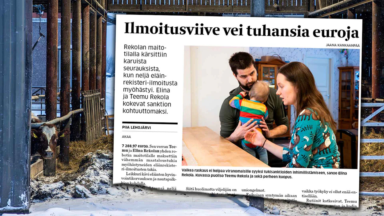 MT kertoi jutussaan 15.1. Rekolan maitotilan saamista sanktioista.