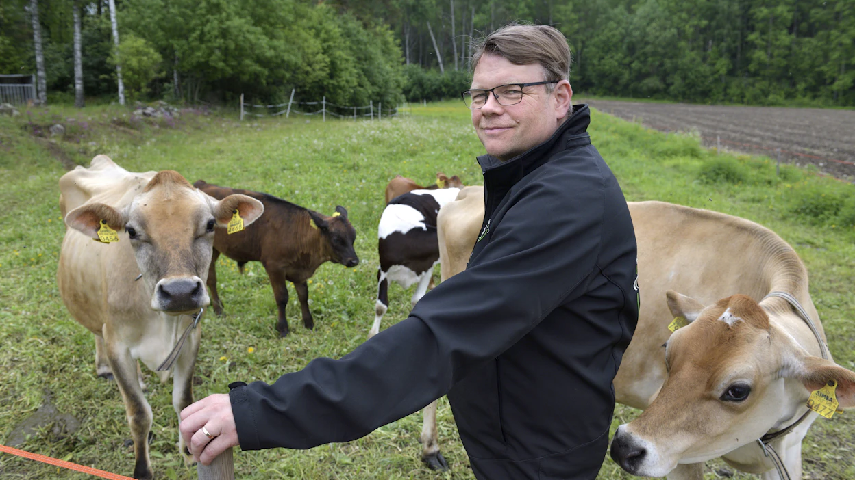 Jari Eerolan navetan taustaa pitää siistinä pieni lauma lihanautoja. Hän kertoo viettäneensä tilalla tavallista enemmän aikaa viime vuosina, kun eri tilaisuuksissa puhuminen on hoidettu etäyhteyksien kautta.