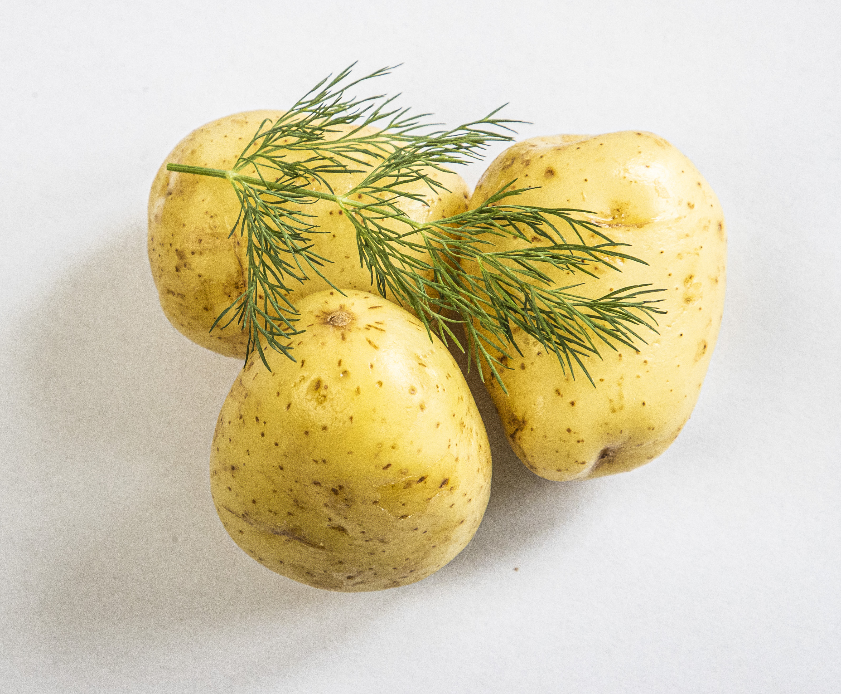 Tilli antaa varhaisperunoihin makua, joko keittämisen aikana tai keittämisen jälkeen lisättynä.